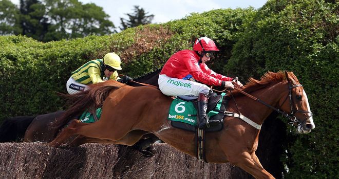 Sire De Grugy: Back in work following surgery on ankles