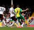 Hugo Rodallega: Fulham striker guides home the winner against Norwich
