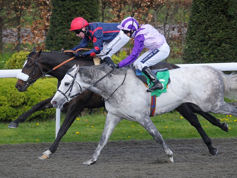 Snow Trouble (grey): Backed to win the finale at Newmarket
