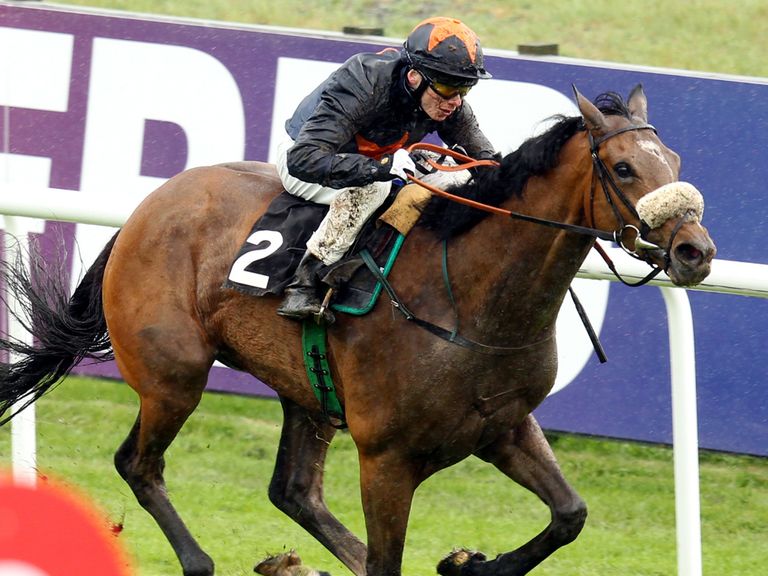 Educate: Worth a bet at Haydock