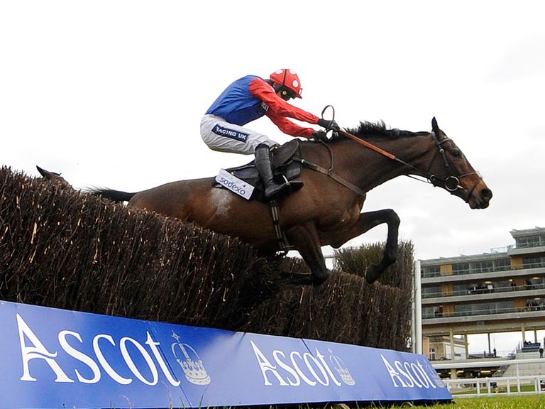 Rocky Creek popular with our panel for the Crabbie's Grand National