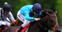 Brown Panther off to Longchamp