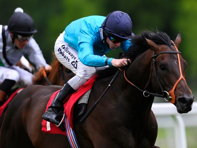 Brown Panther: Second at Longchamp