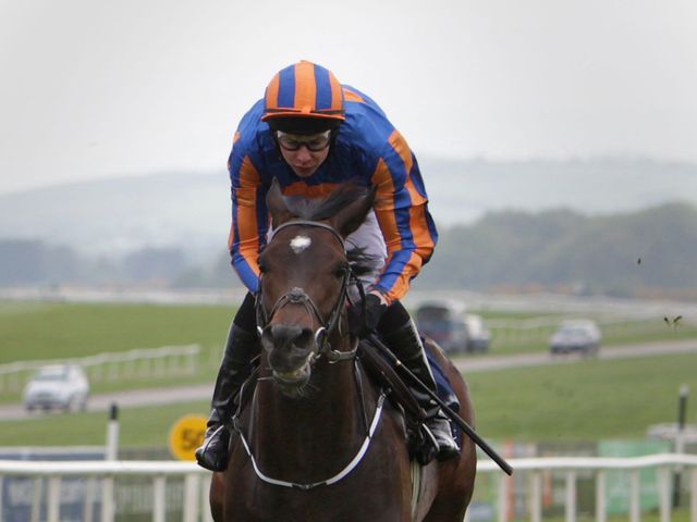 Magician and Joseph O'Brien: Had to settle for second place.