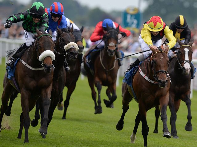 Ralston Road and Clever Cookie (far left) pass the line locked together at York.