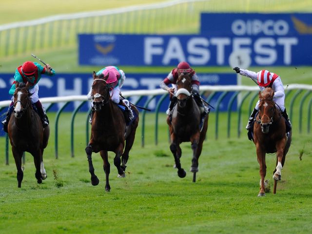 Kingman and Night Of Thunder are set to clash again
