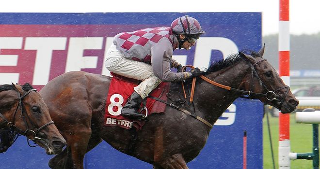 Chatez wins at Haydock to the delight of some Scoop6 punters