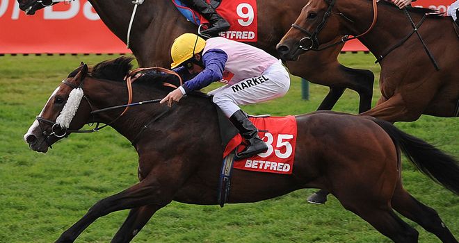 Bronze Angel: Big run on the cards at Newbury