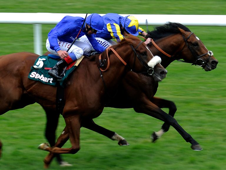 High Jinx: Sandown hopeful