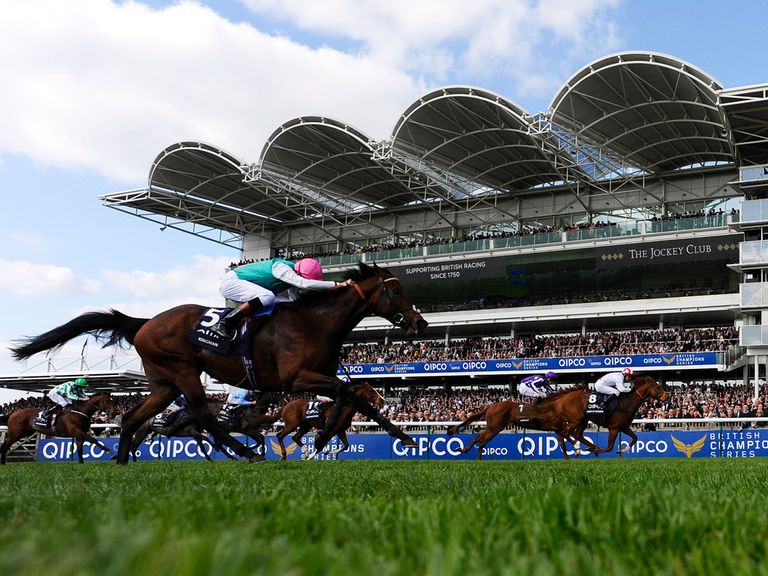 Kingman: Second time lucky for Classic glory?