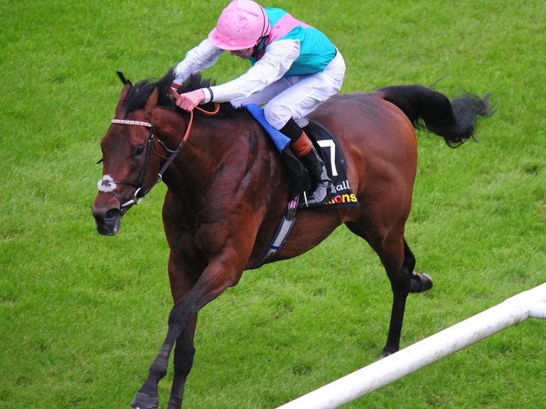 http://e1.365dm.com/14/05/768x576/horse-racing-guineas-spring-festival-day-one-the-curragh-kingman-curragh-guineas_3146998.jpg?20140524160114