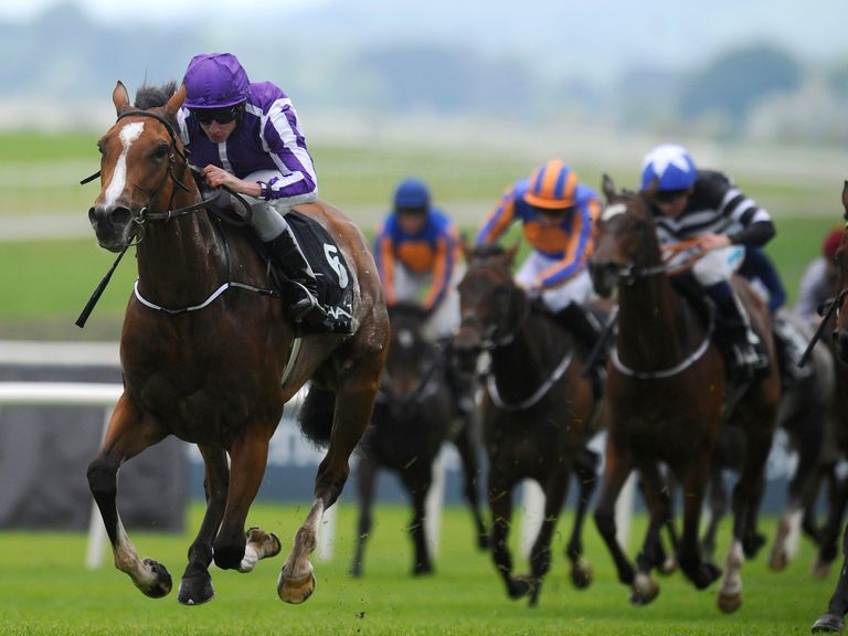 Marvellous bids to follow up victory in the Irish 1,000 Guineas