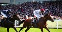 Four runners in Sussex Stakes