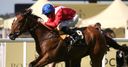 Integral primed for Rothschild