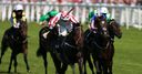 Power pair top July Cup field