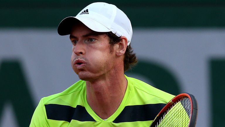 Andy Murray: Wants to reach the French Open final