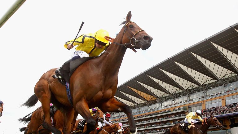 Rizeena could run in the Falmouth Stakes at Newmarket.
