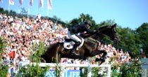 Sky Sports Horses
