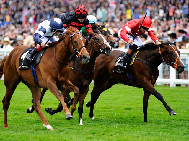 Newsletter, finishing third in the Queen Mary Stakes at Royal Ascot.