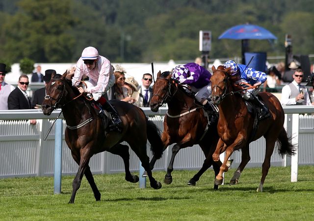 Domination storms to victory in the Ascot Stakes
