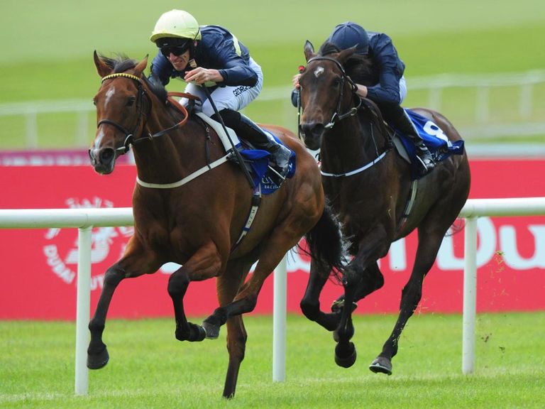 Thistle Bird: Produced a career-best effort to win the Pretty Polly Stakes
