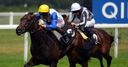 Bear grills Winkfield rivals