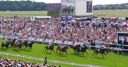 Zalty poised for Galway action