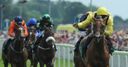 Farrraaj sidesteps York return