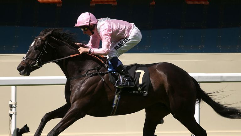 The Fugue has been retired after sustaining an injury at Sandown