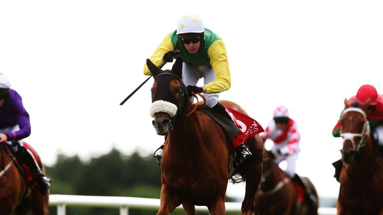 Quick Jack wins at Galway on Monday