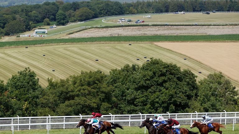 Snow Sky denies Somewhat and the fast-finishing Windshear (nearest) to win the Gordon Stakes.