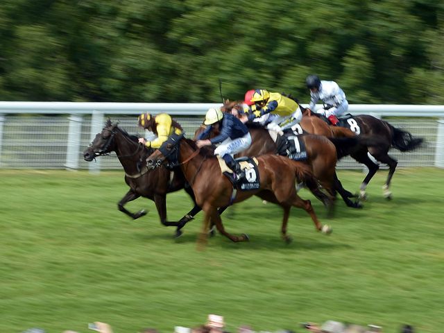 Missunited, ridden by Jim Crowley, clings on for victory