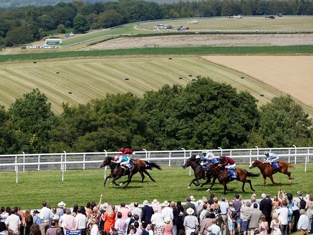 Snow Sky denies Somewhat and the fast-finishing Windshear (nearest) to win the Gordon Stakes.