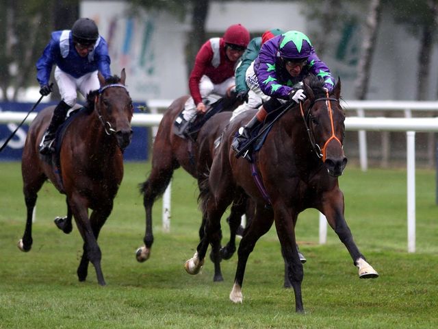 Belardo (maroon) is in fantastic shape
