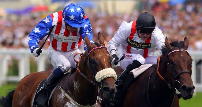 American Hope: Can make up for narrow defeat last time at York