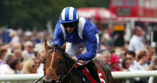 Estidhkaar: Dewhurst Stakes the big aim