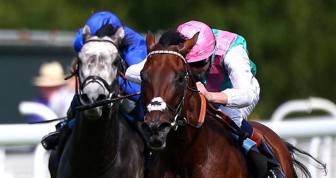 Kingman: Deauville hopeful