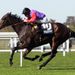 Estimate in Goodwood Cup field