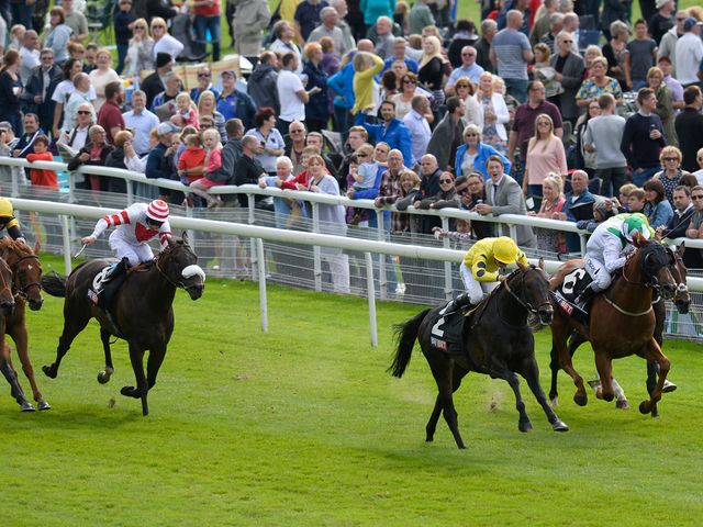 Oisin Murphy and Absolutely So (yellow silks) take the City of York Stakes.