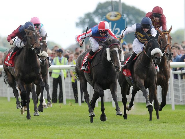 Mutual Regard gets the better of Van Percy and Pallasator