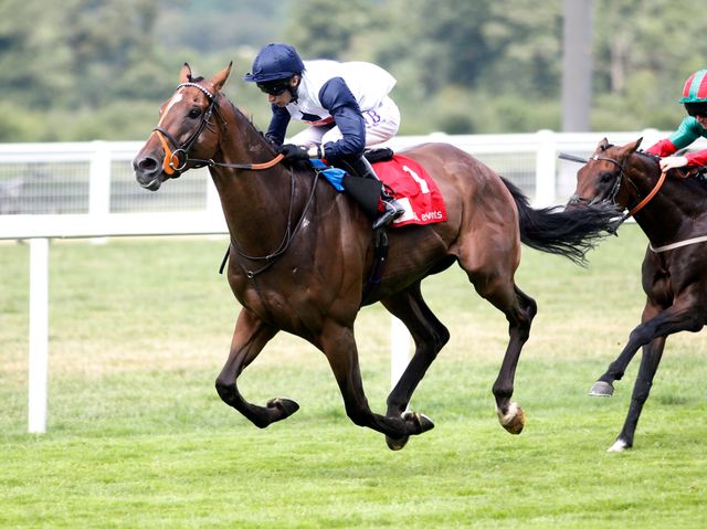 http://e1.365dm.com/14/08/640/horse-racing-king-george-weekend-family-fun-day-ascot-racecourse-pallasator_3190755.jpg?20140814194202