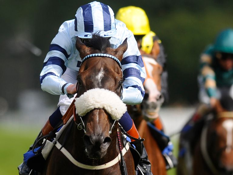 James Doyle: First past the post on Humidor