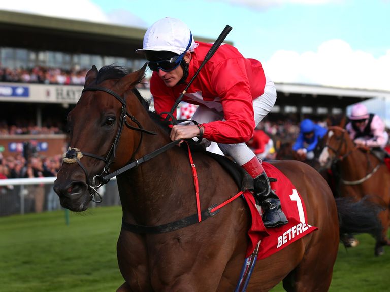 http://e1.365dm.com/14/08/768x576/horse-racing-gordon-lord-byron-haydock-sprint-cup_3195882.jpg?20140826160715