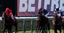 Celebrity appearance at Newmarket?