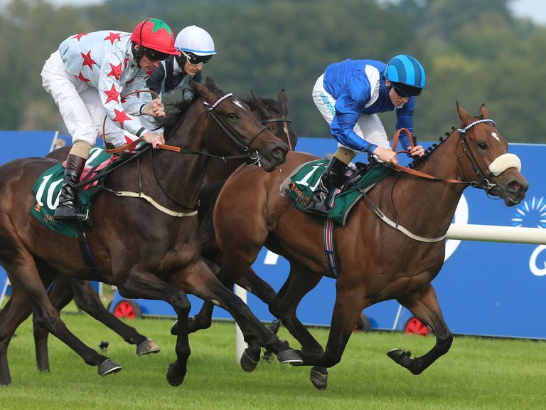 http://e1.365dm.com/14/09/768x576/horse-racing-day-one-leopardstown-racecourse-tamadhor_3203648.jpg?20140913162844