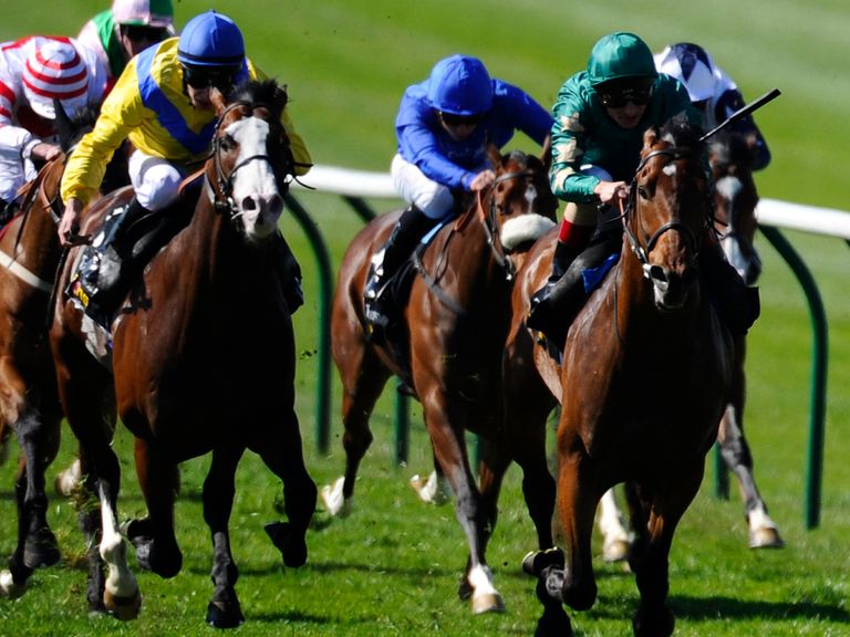 saint cloud horse racing results saint cloud horse racing results
