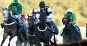 Victory misses Cheltenham