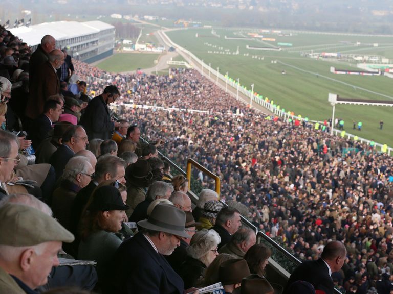 newspaper horse racing tips newspaper horse racing tips