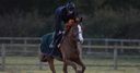 Sire satisfies in schooling session