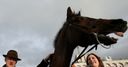 Swan: Ruby should ride Faugheen